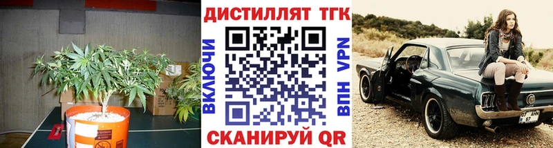 Купить где  Хотьково  Дистиллят ТГК концентрат 